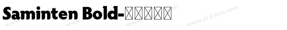 Saminten Bold字体转换
